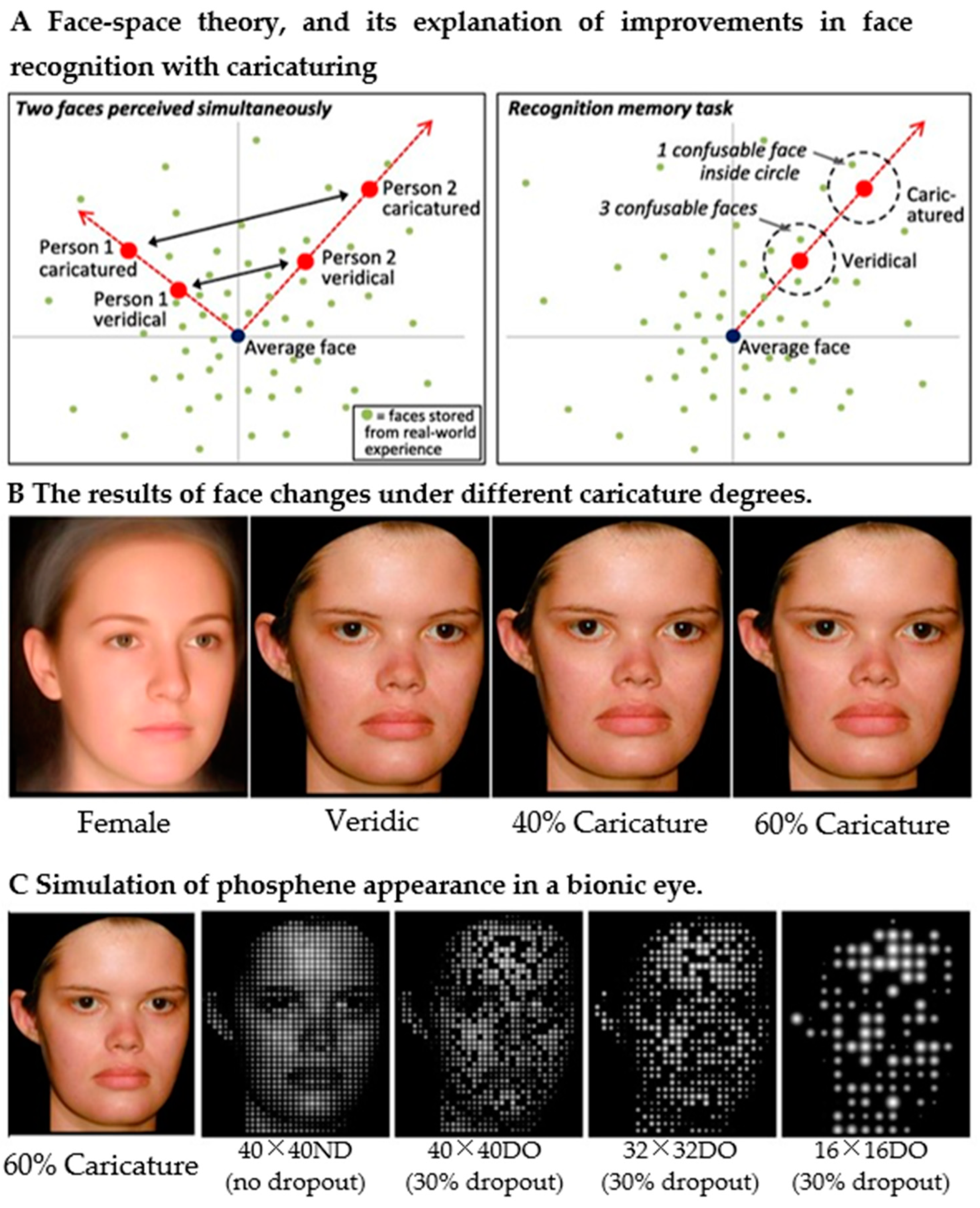 Sensors 22 06544 g004