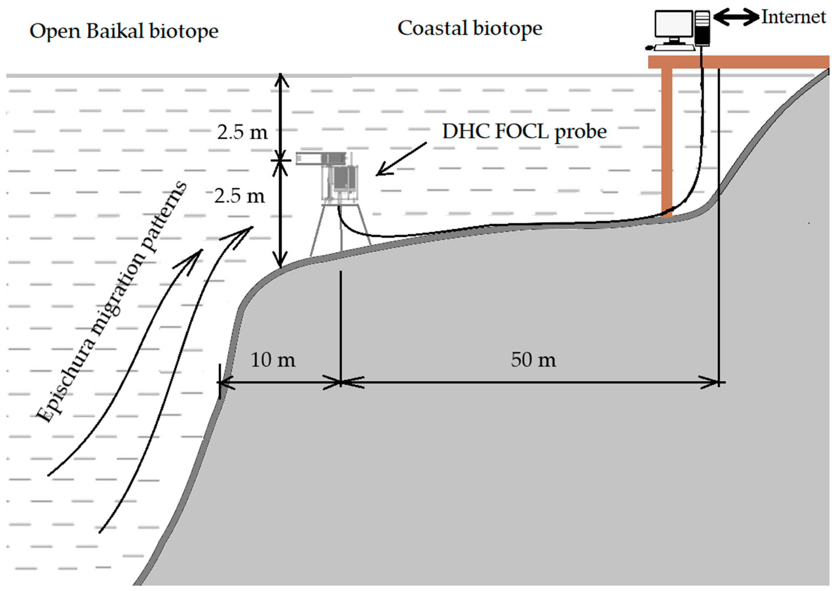 Sensors 22 06674 g003