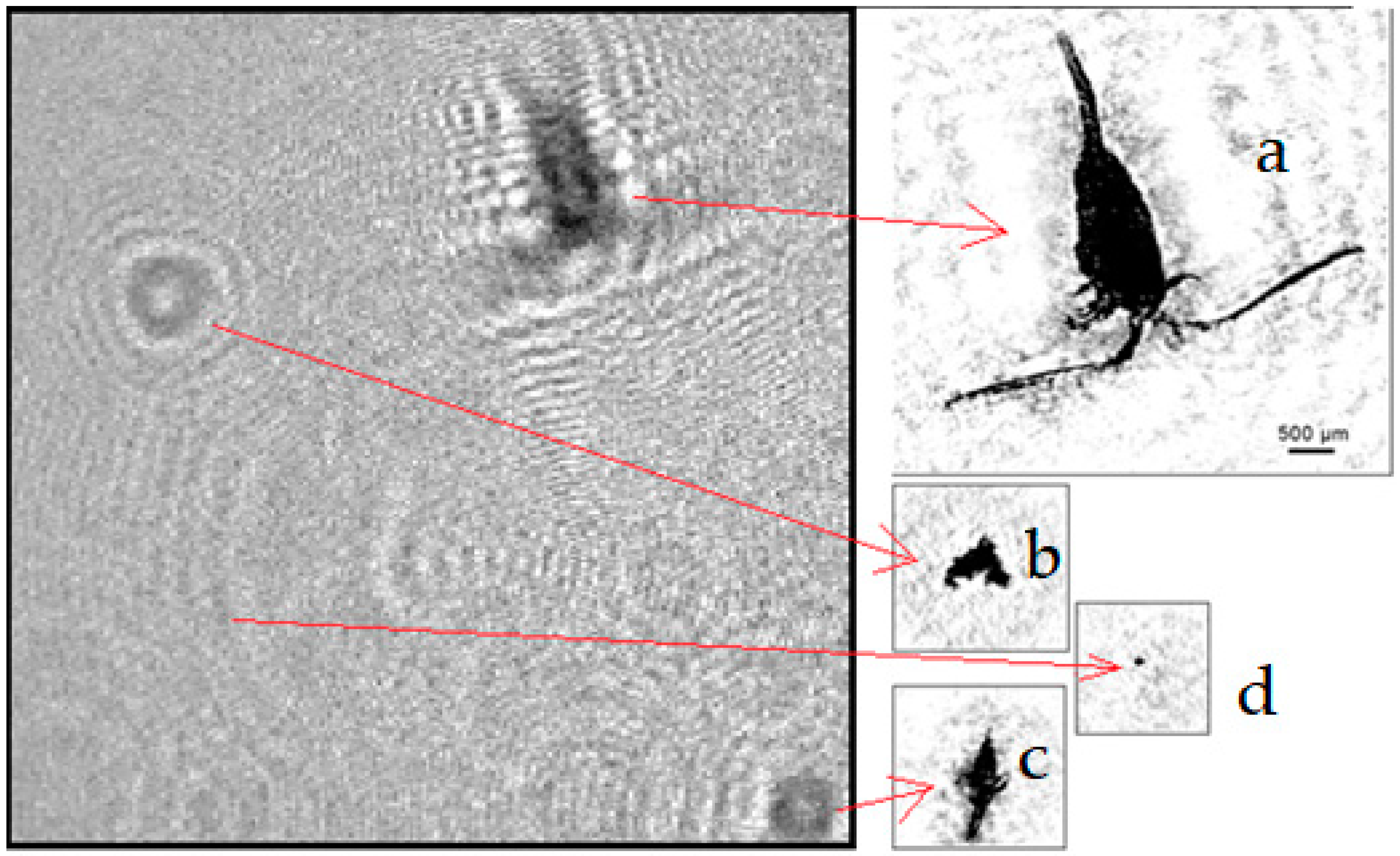 Sensors 22 06674 g004