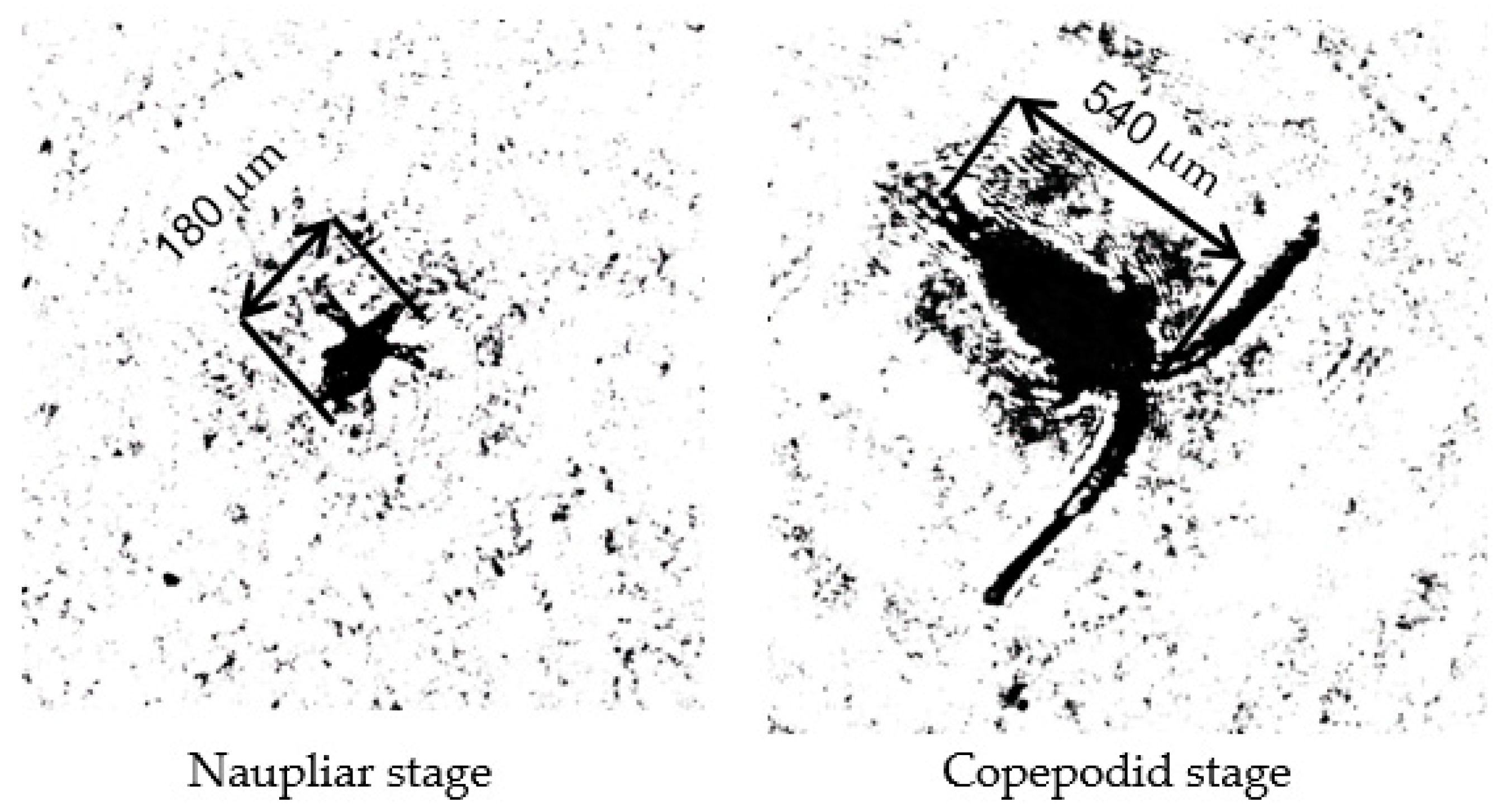 Sensors 22 06674 g006