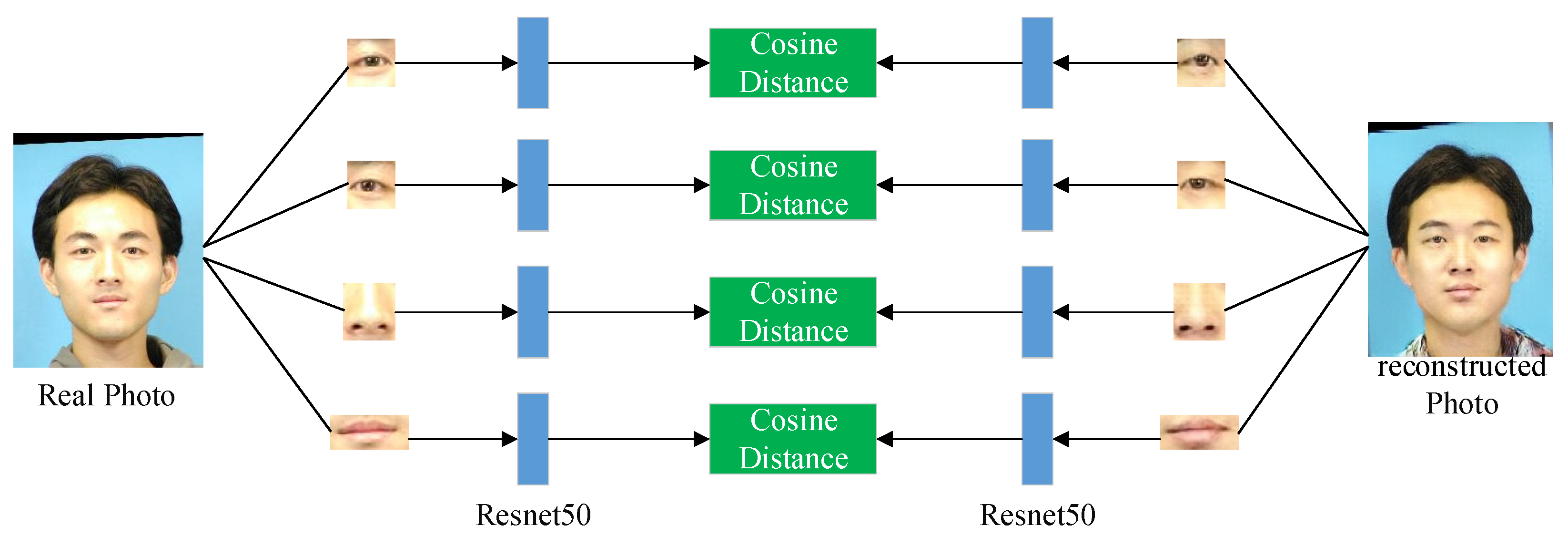 Sensors 22 06725 g006