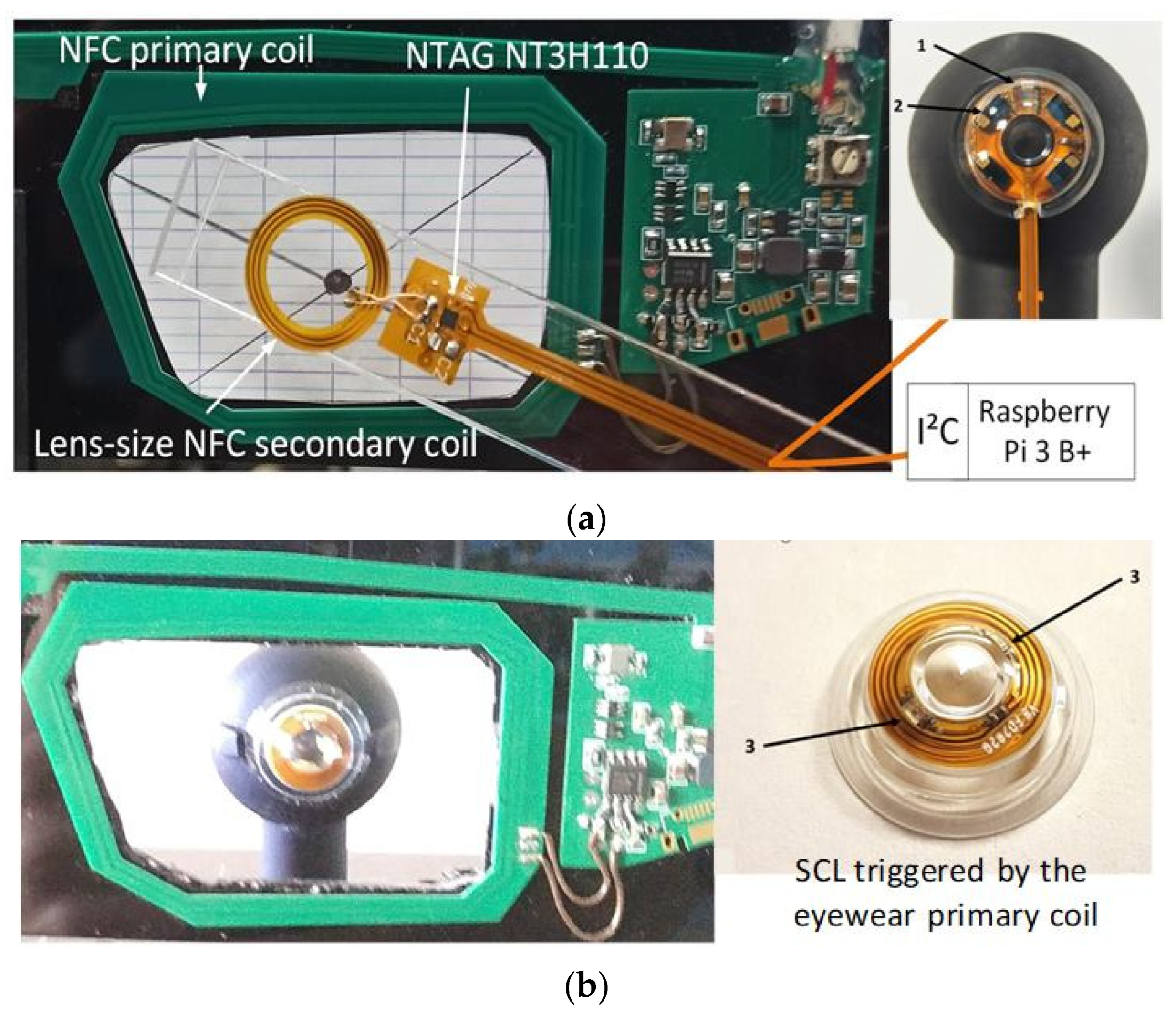 Sensors 22 06731 g001