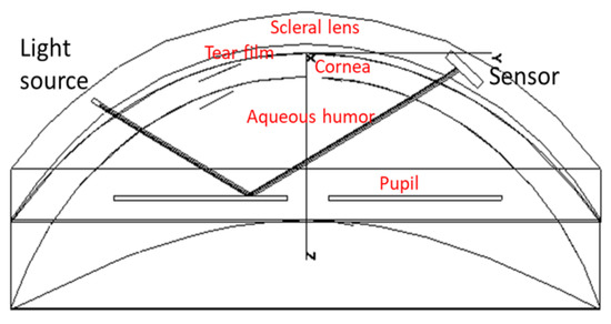Sensors 22 06731 g002