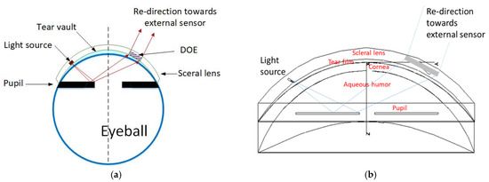 Sensors 22 06731 g003