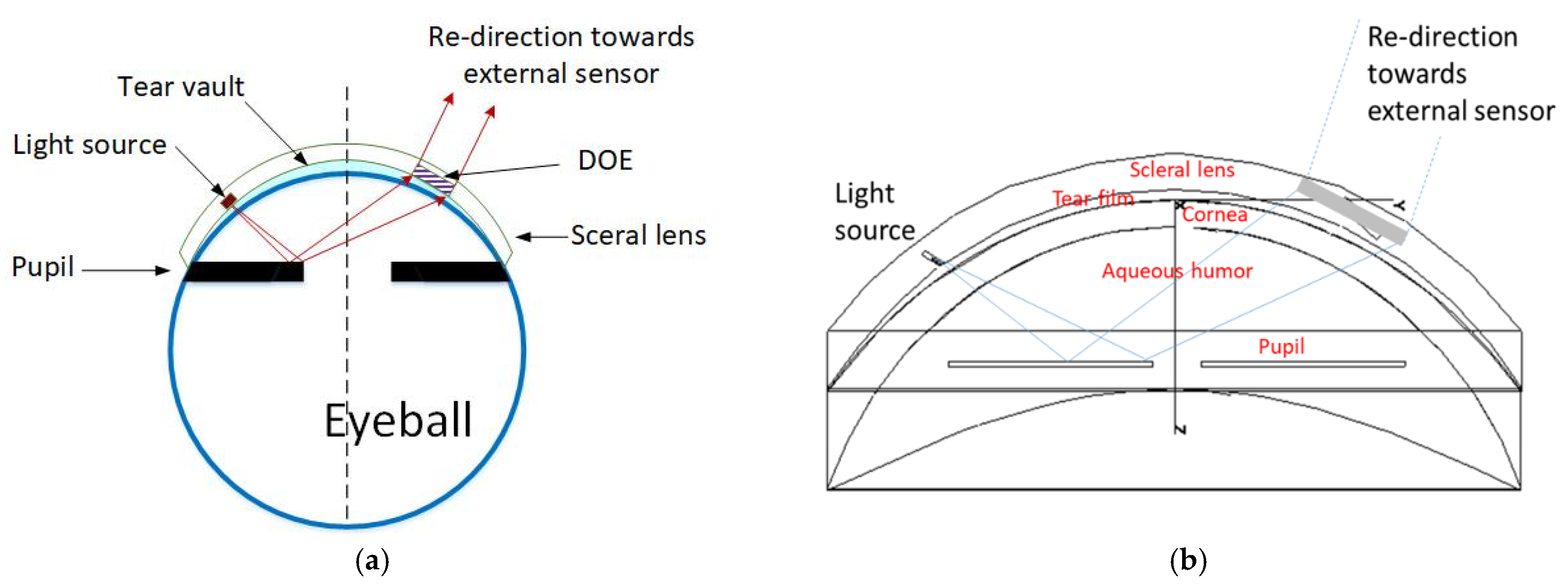 Sensors 22 06731 g003