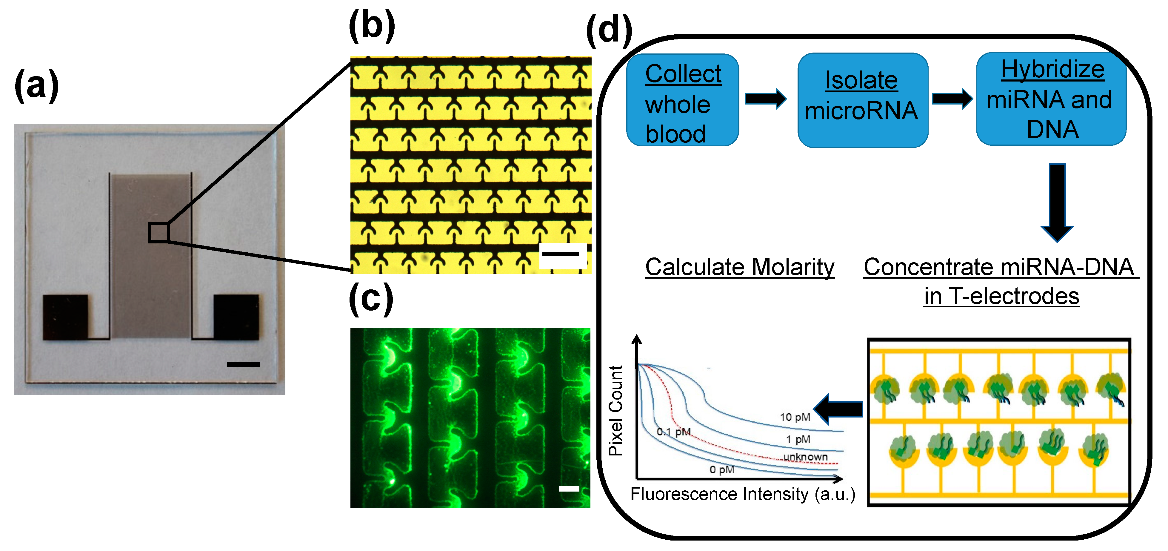 Sensors 22 06758 g001