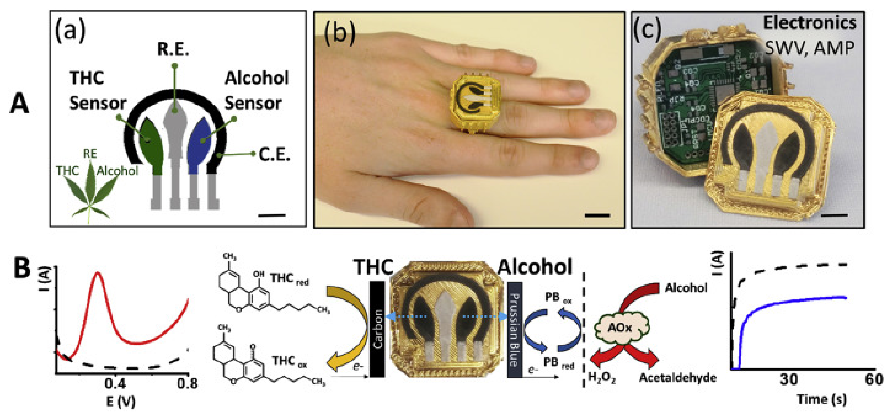 Sensors 22 06819 g002