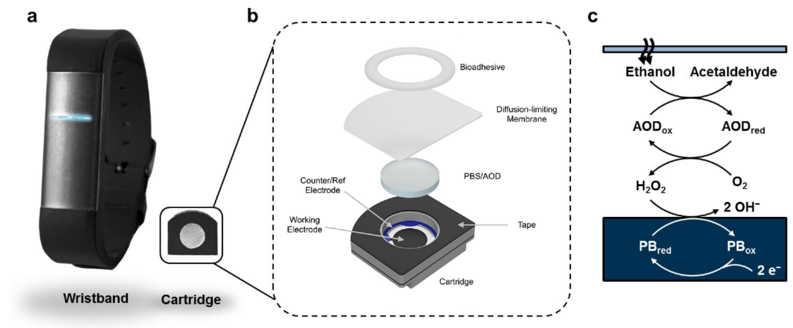 Sensors 22 06819 g003