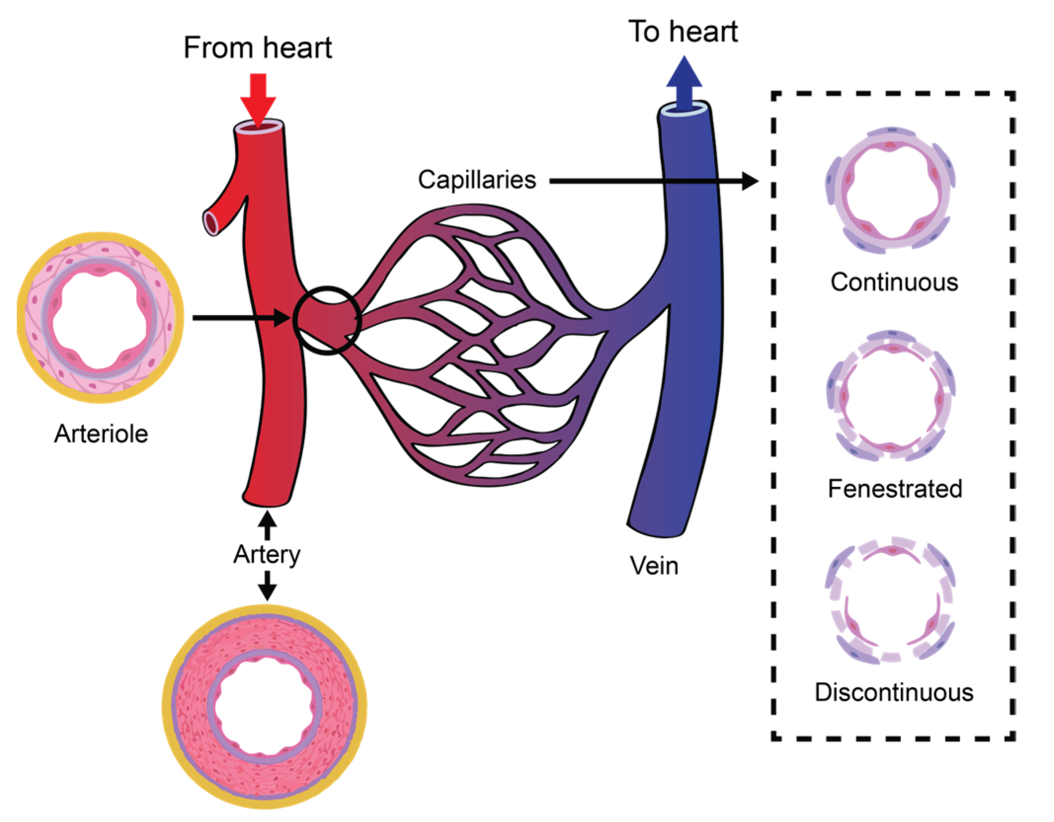 Sensors 22 06836 g001