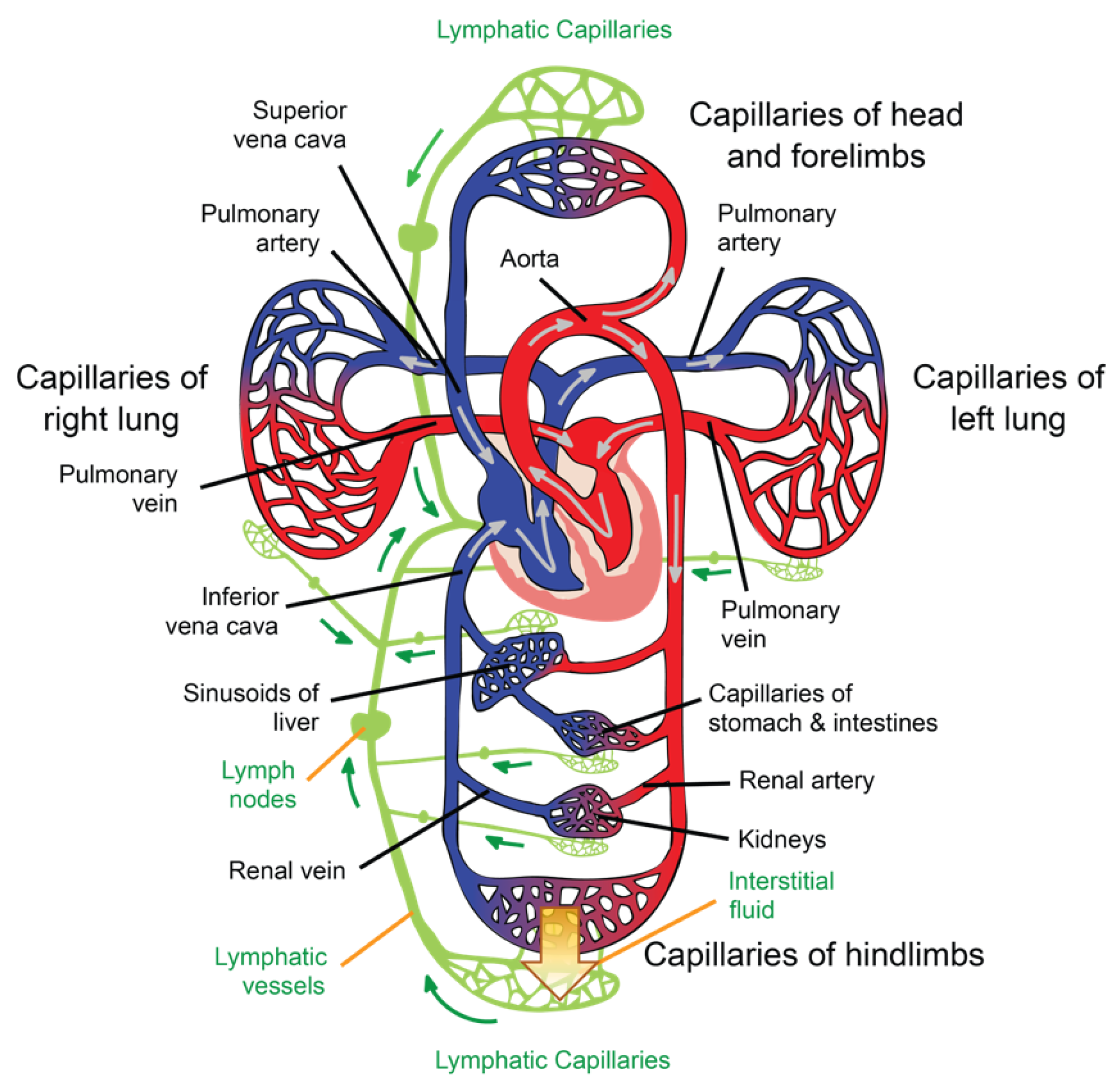 Sensors 22 06836 g002