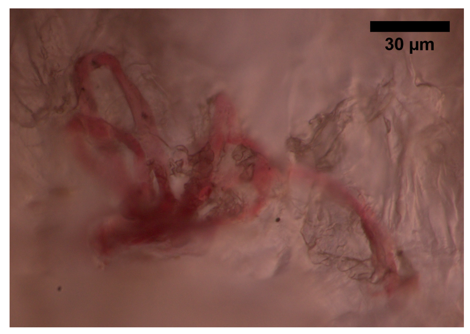 Sensors 22 06836 g004