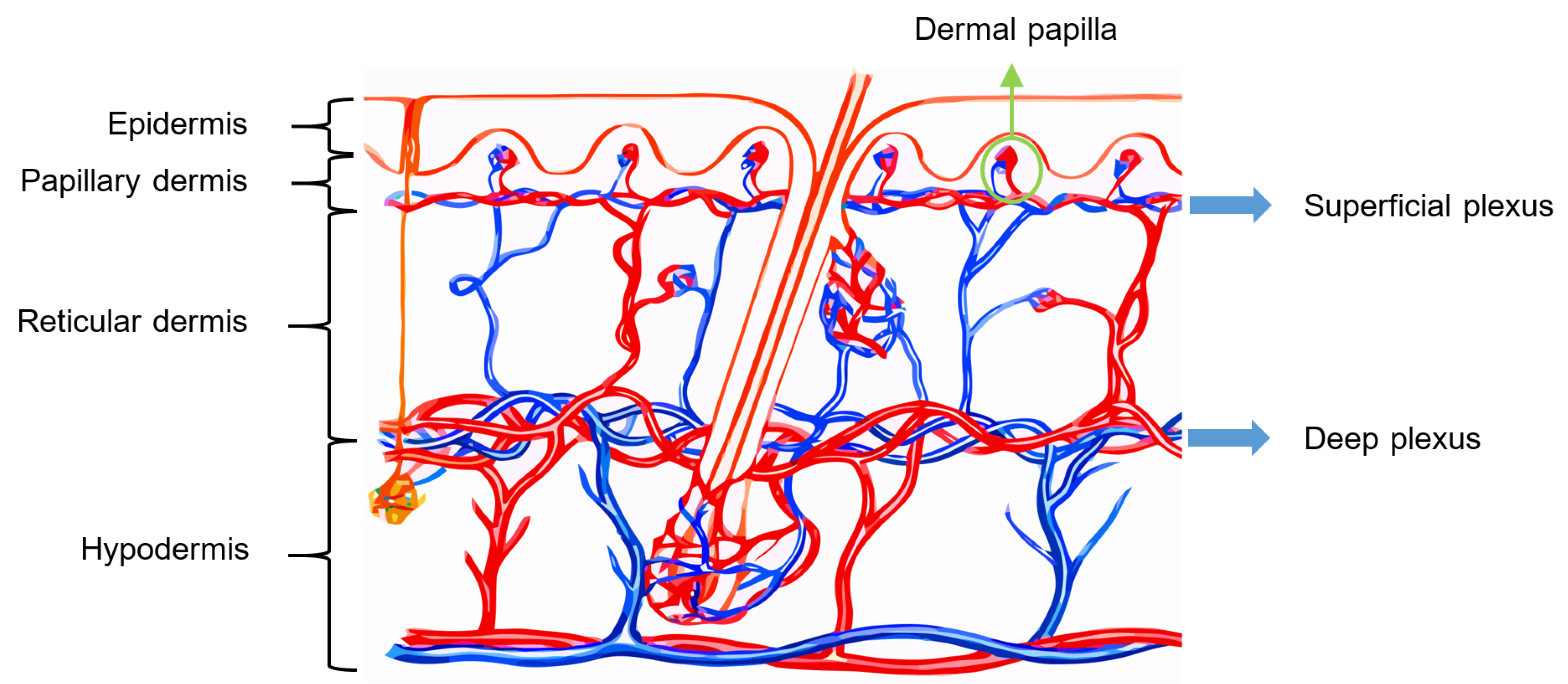 Sensors 22 06836 g005