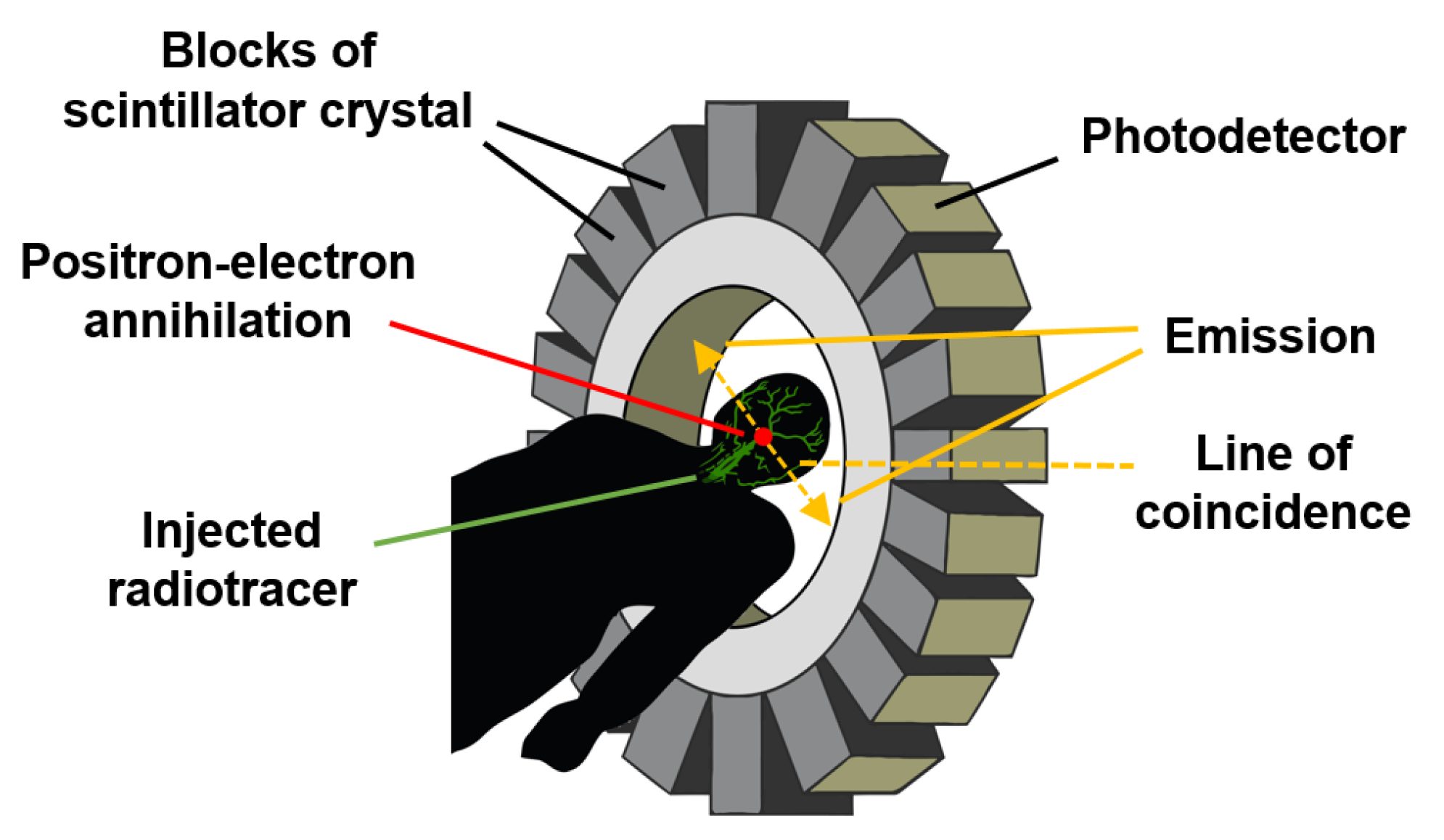 Sensors 22 06836 g014