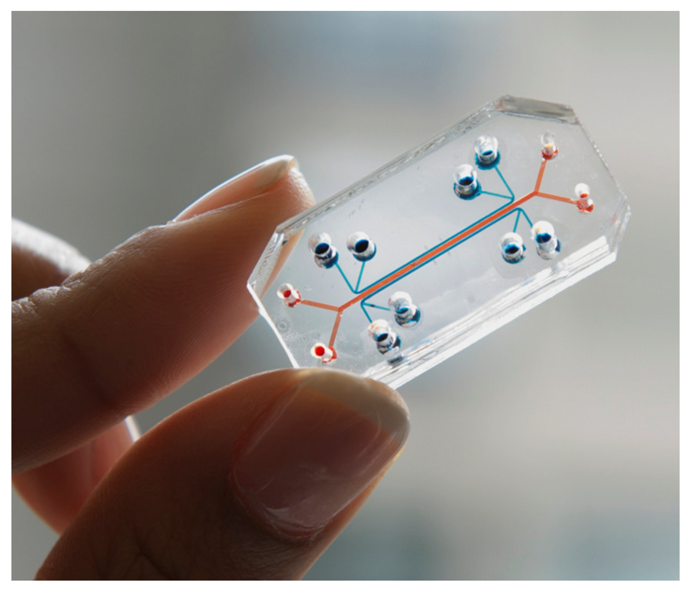 Sensors 22 06836 g016