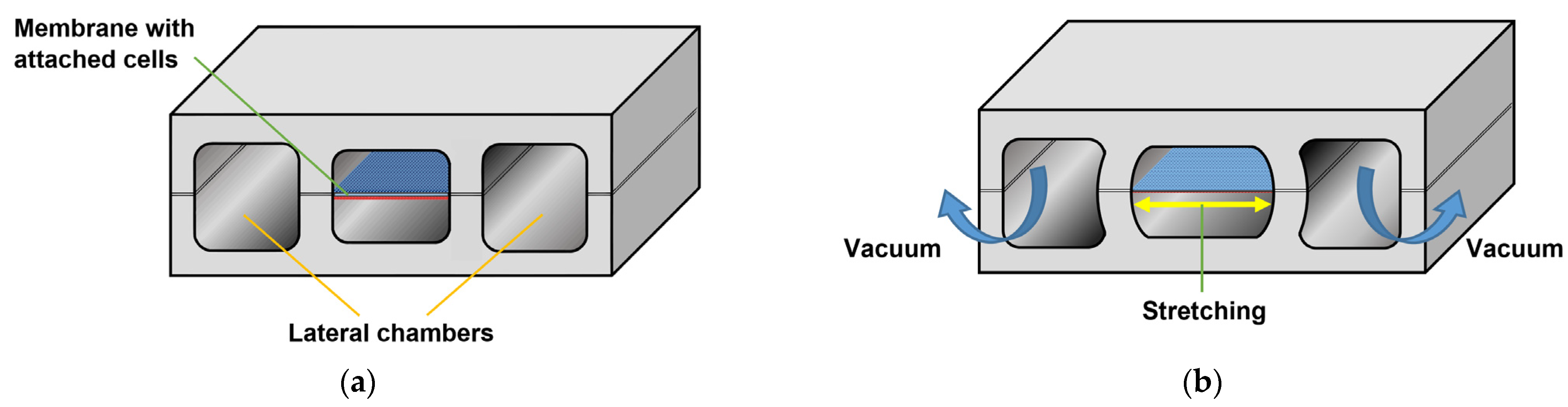 Sensors 22 06836 g017