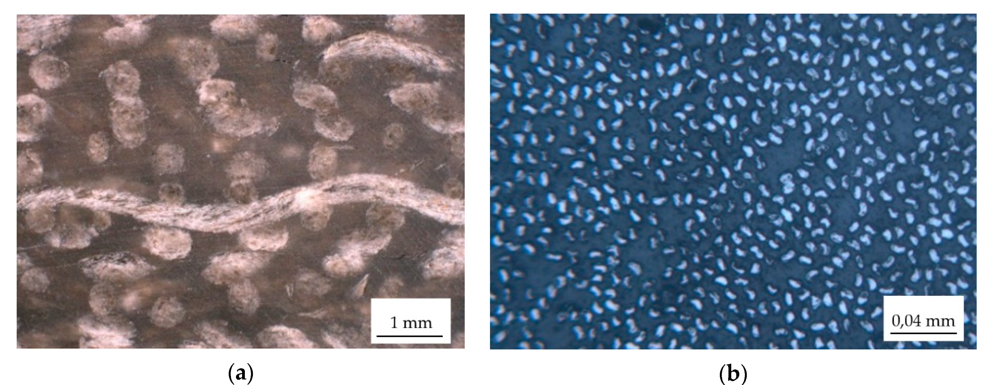 Sensors 22 06886 g001