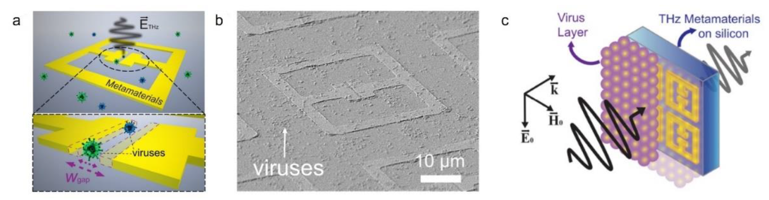 Sensors 22 06896 g002