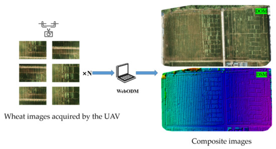 Sensors 22 06967 g0a2 550