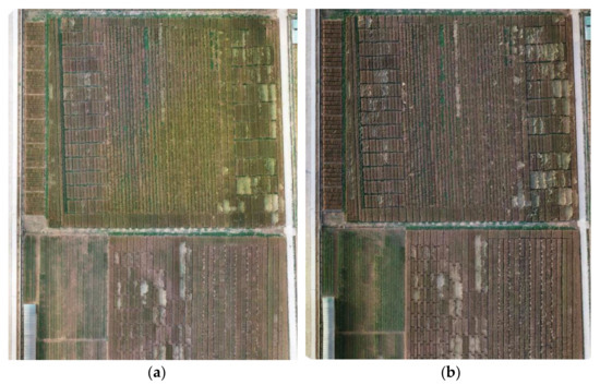Sensors 22 06967 g0a4 550