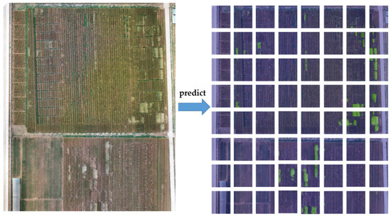 Sensors 22 06967 g0a5 550