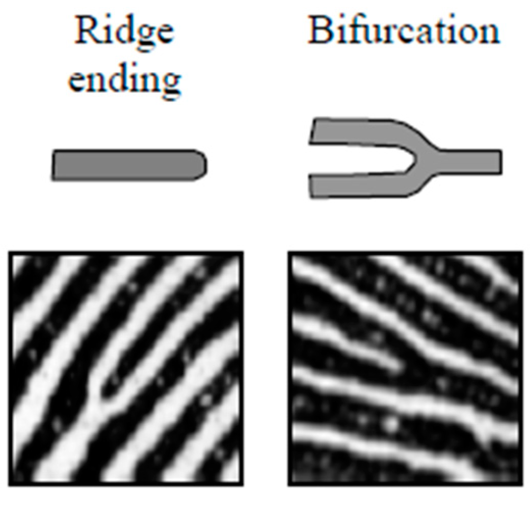 Sensors 22 06973 g004