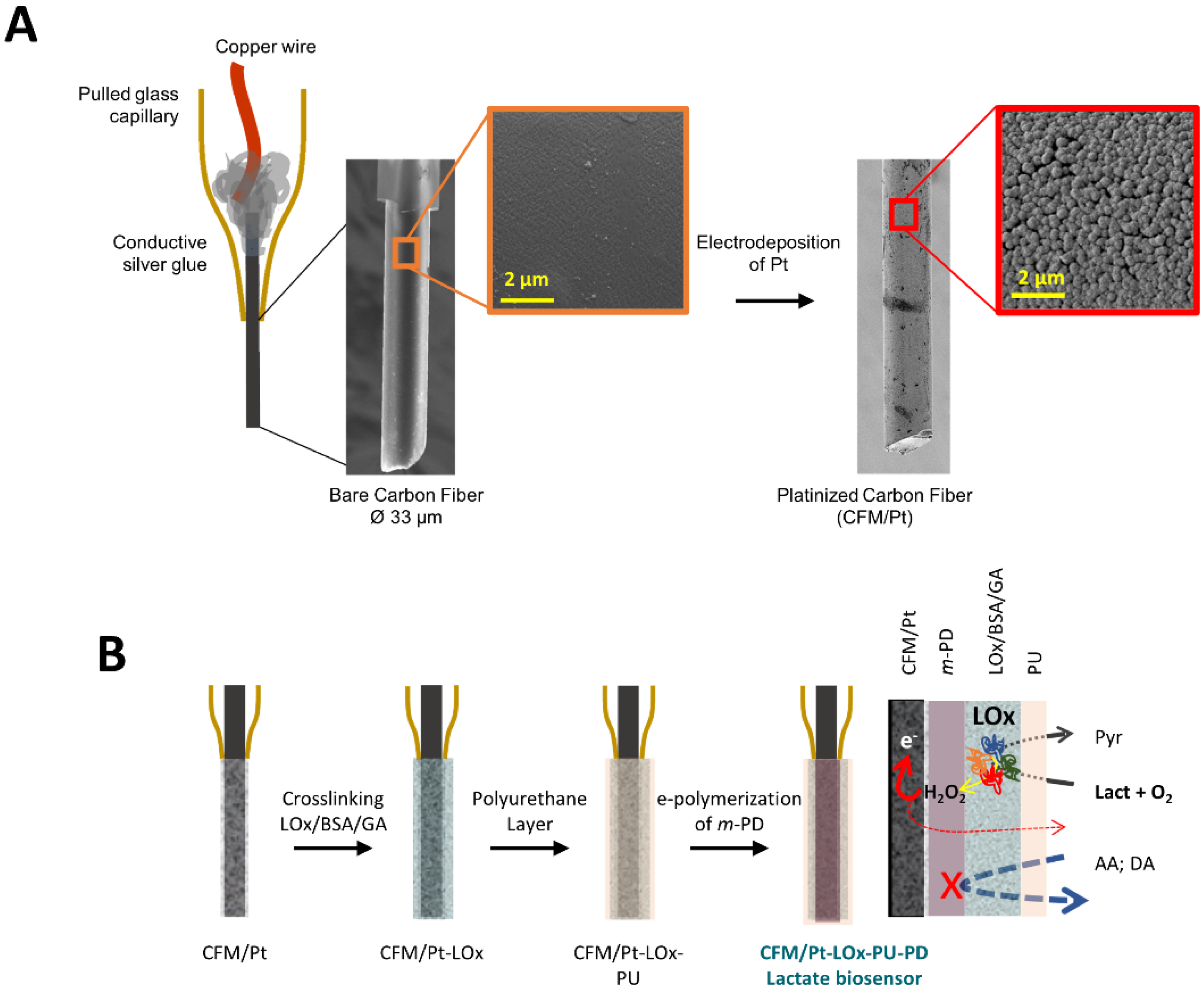 Sensors 22 07011 g001
