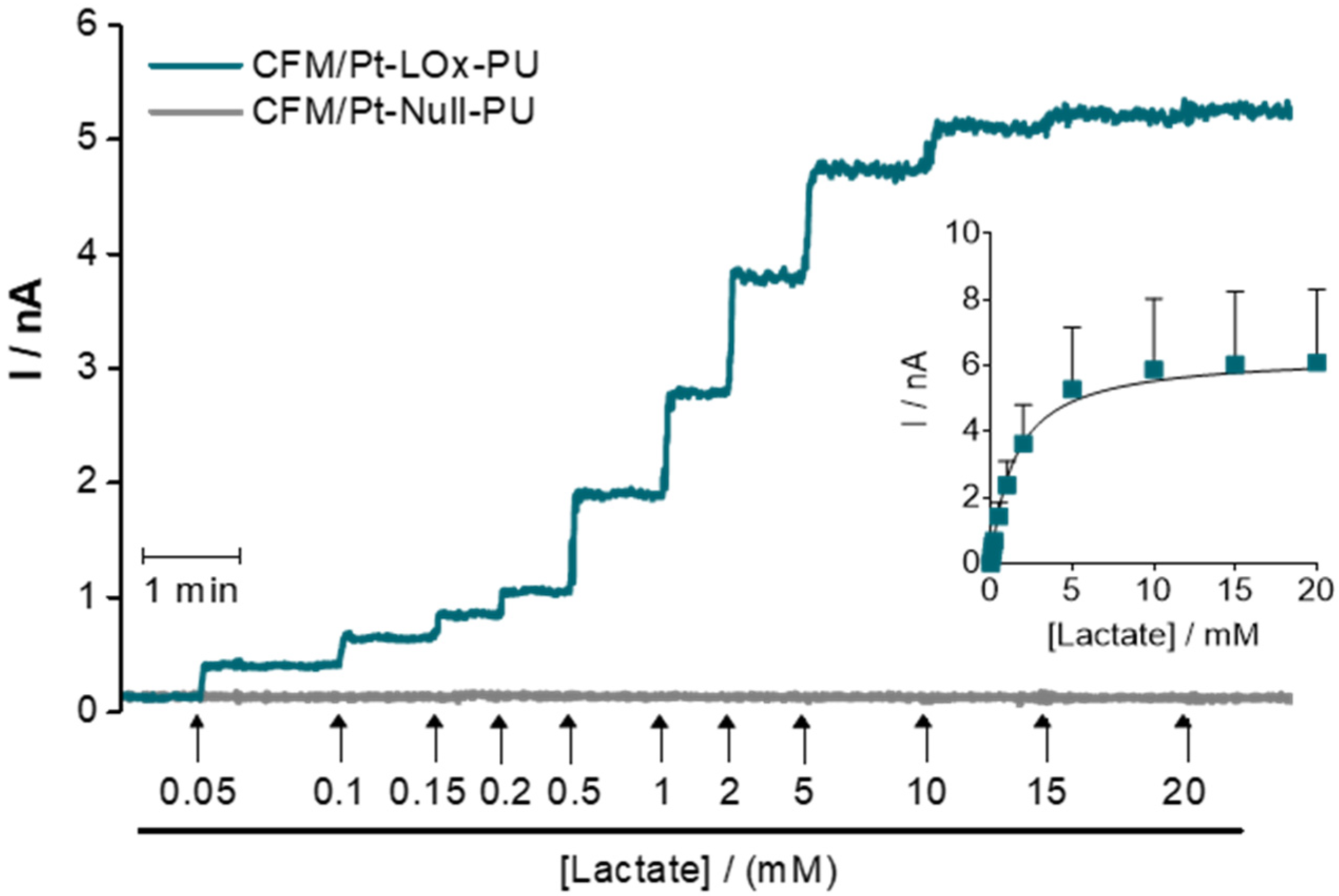 Sensors 22 07011 g002