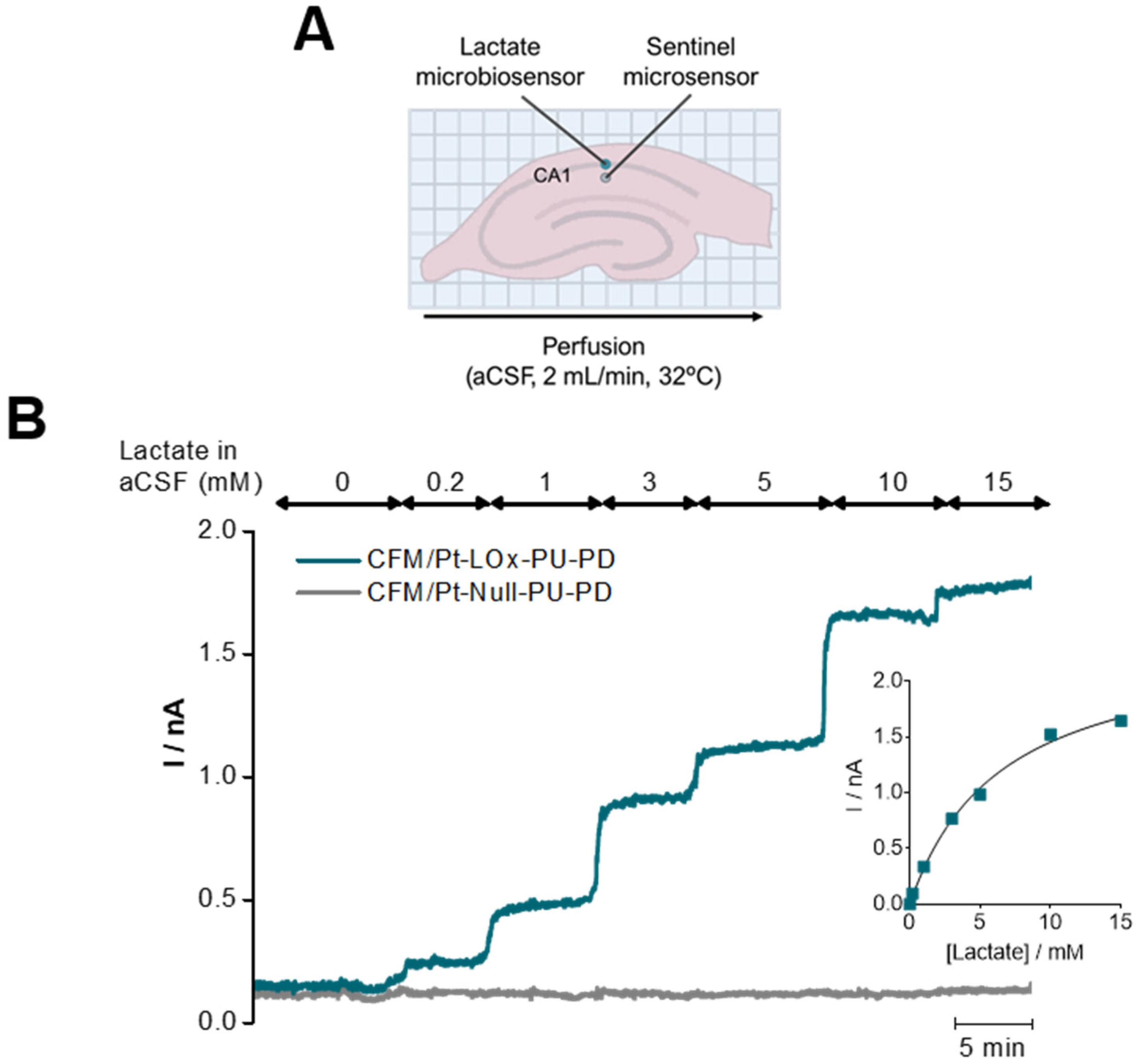 Sensors 22 07011 g005