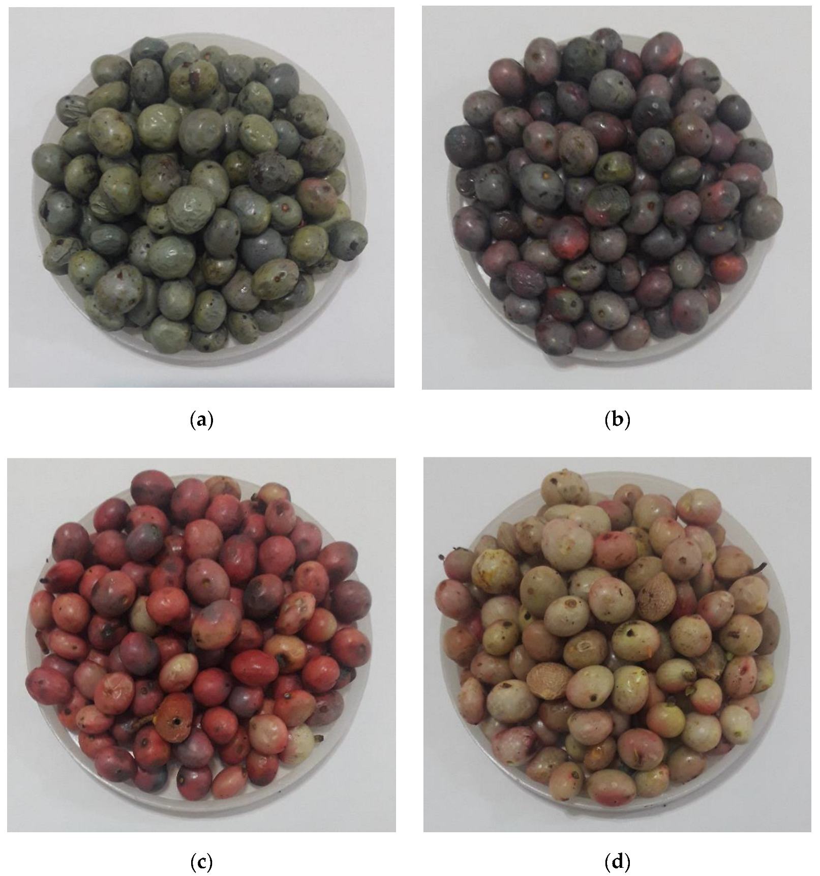 Sensors 22 07134 g002