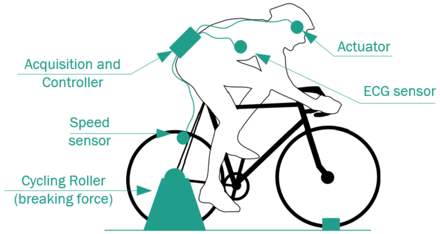 Sensors 22 07153 g012