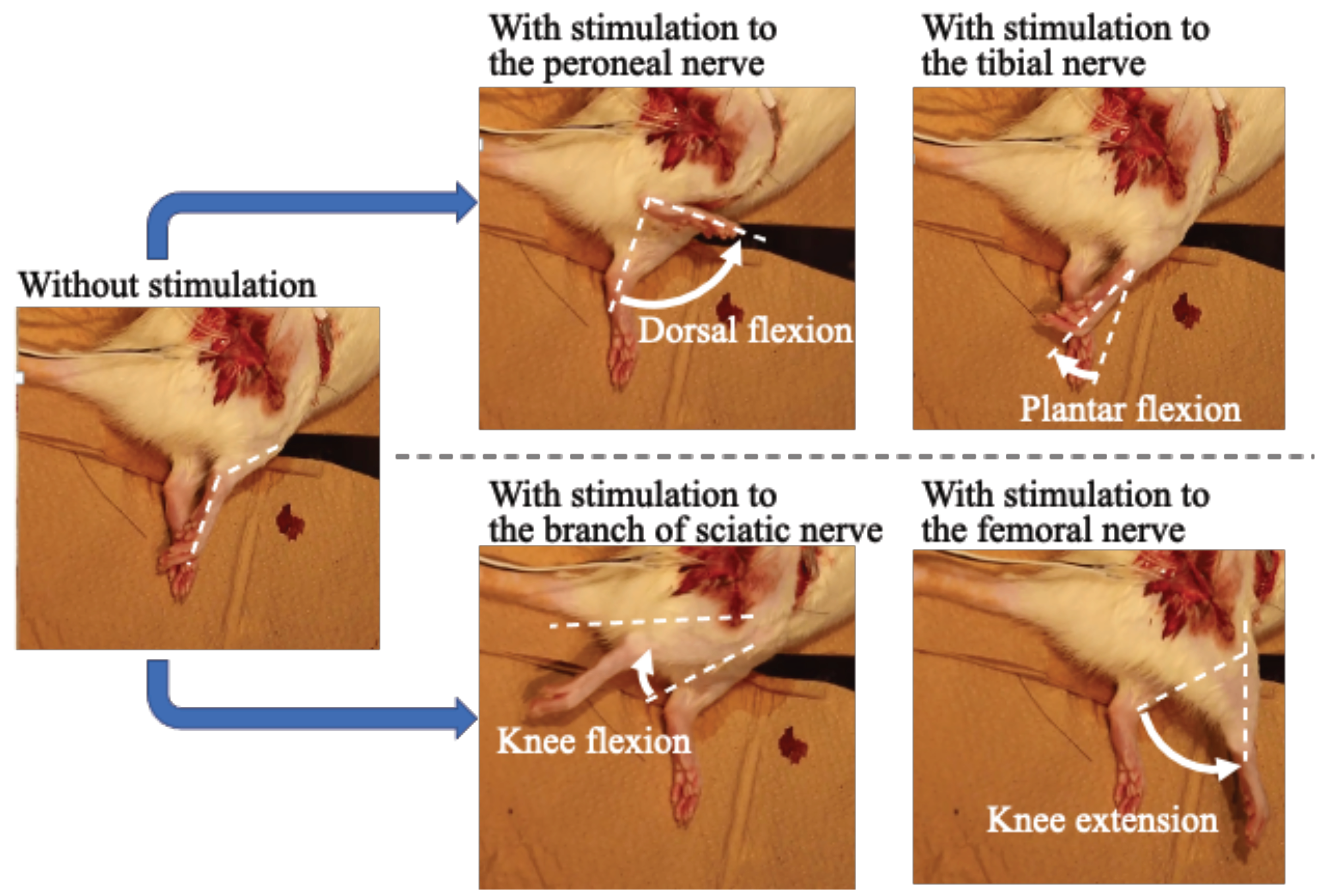 Sensors 22 07198 g007