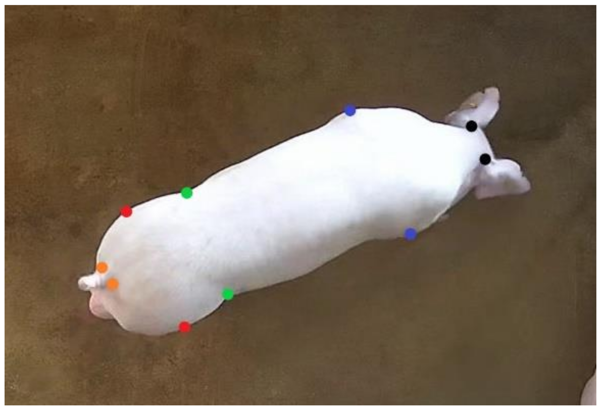 Sensors 22 07215 g002