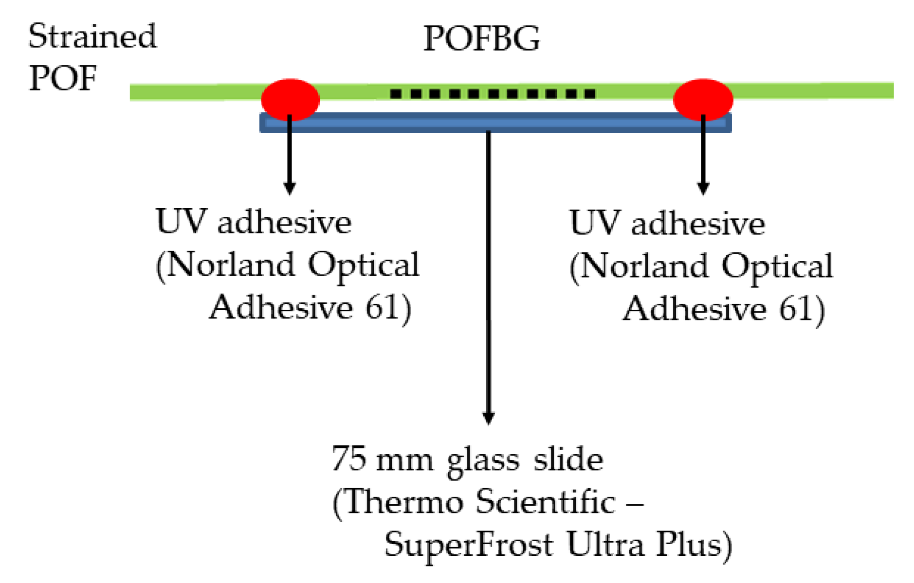 Sensors 22 07233 g006