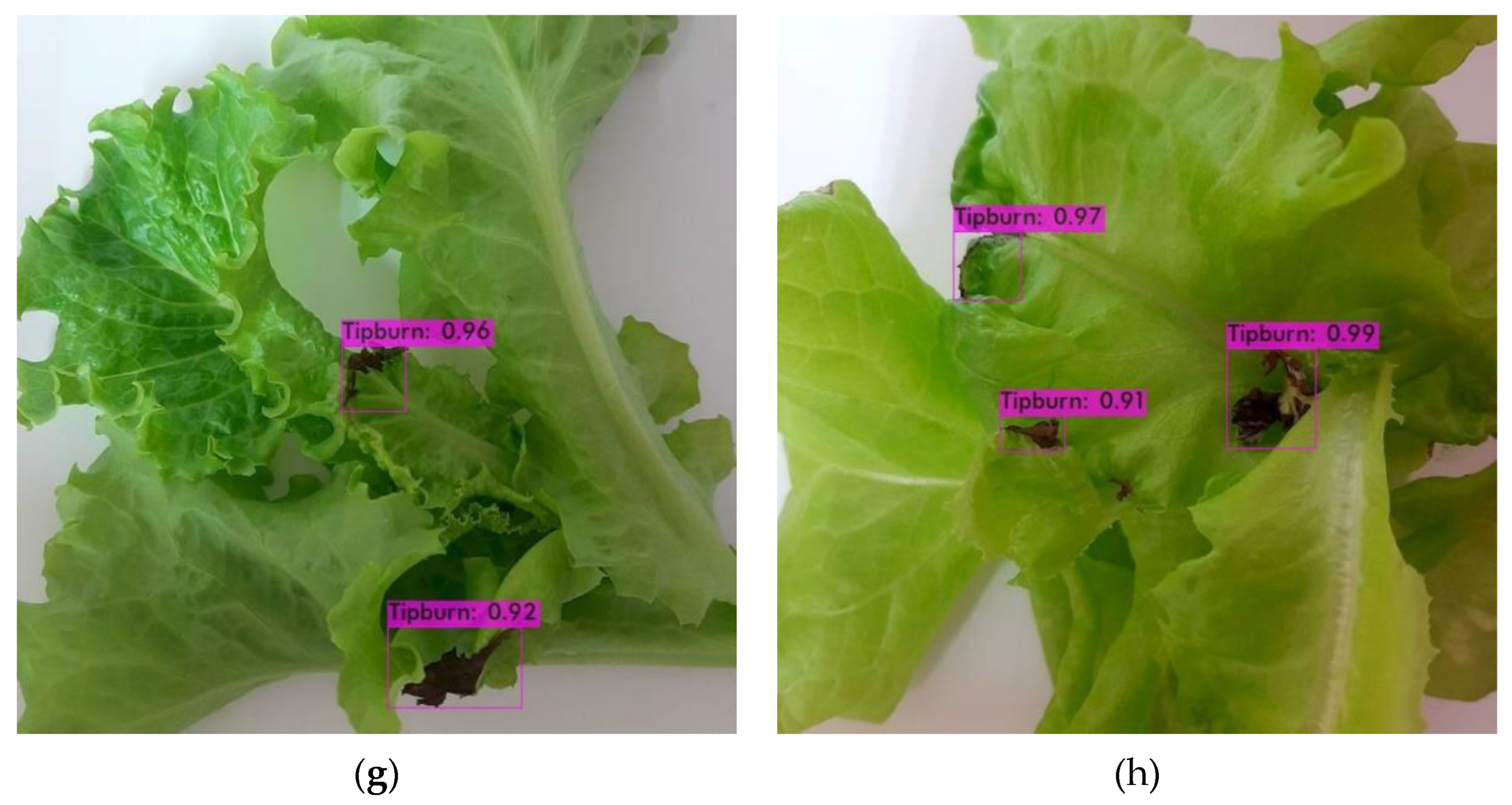 Sensors 22 07251 g006b