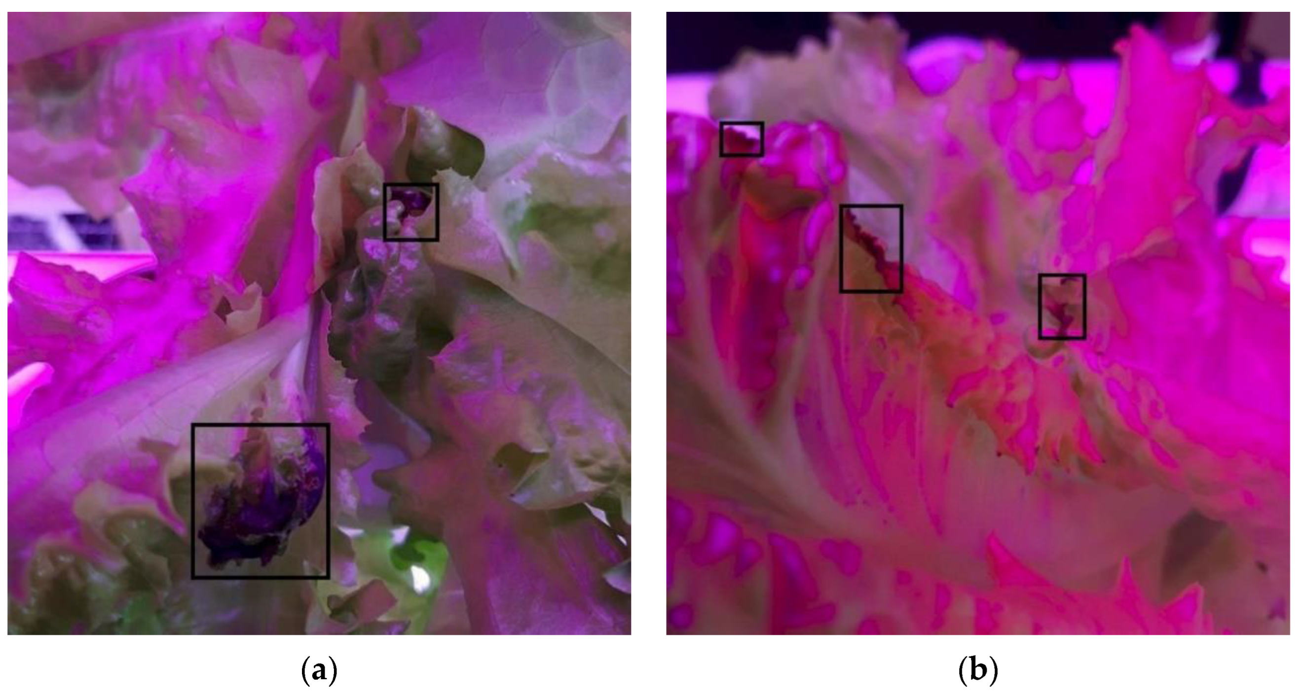 Sensors 22 07251 g007a