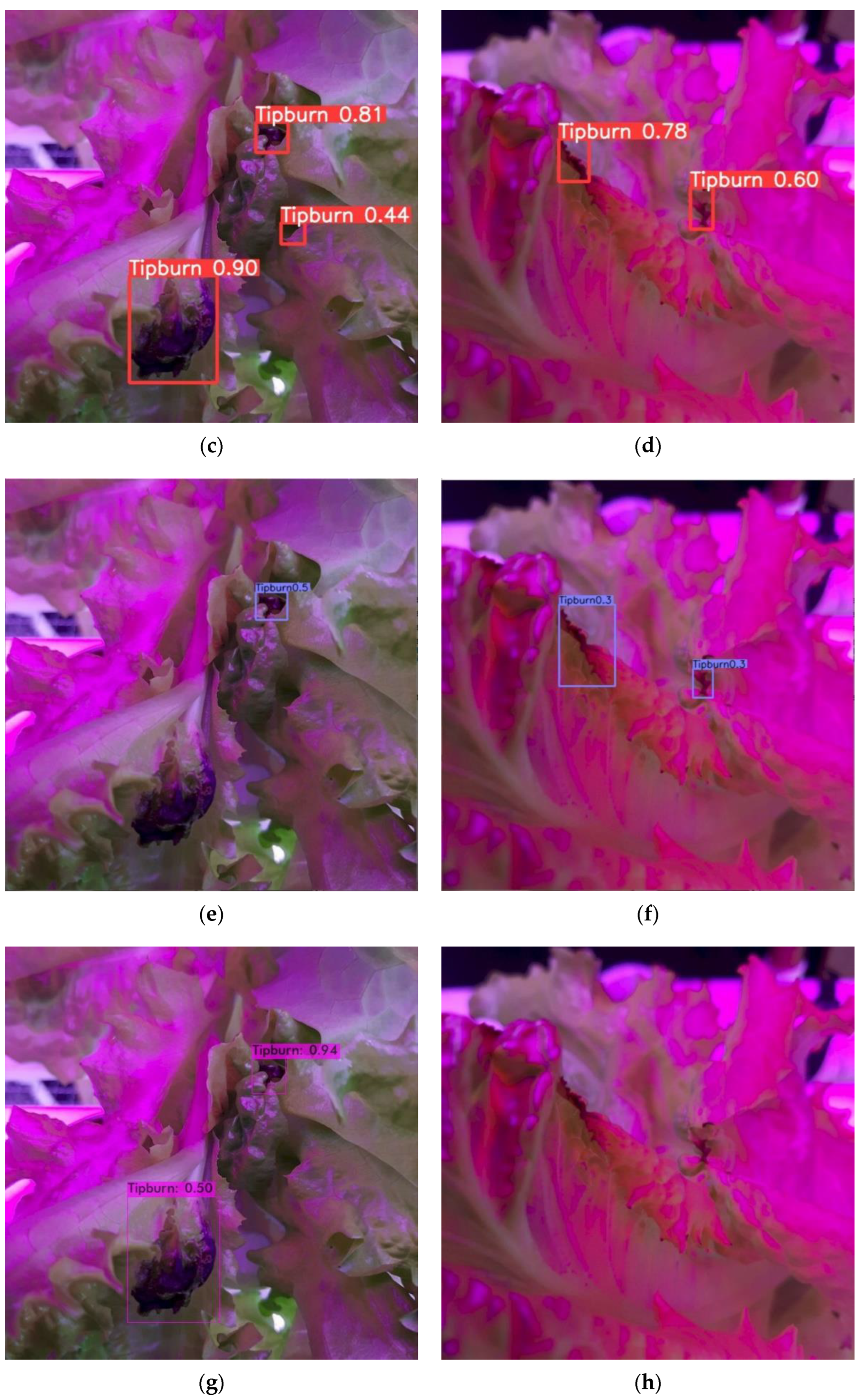 Sensors 22 07251 g007b