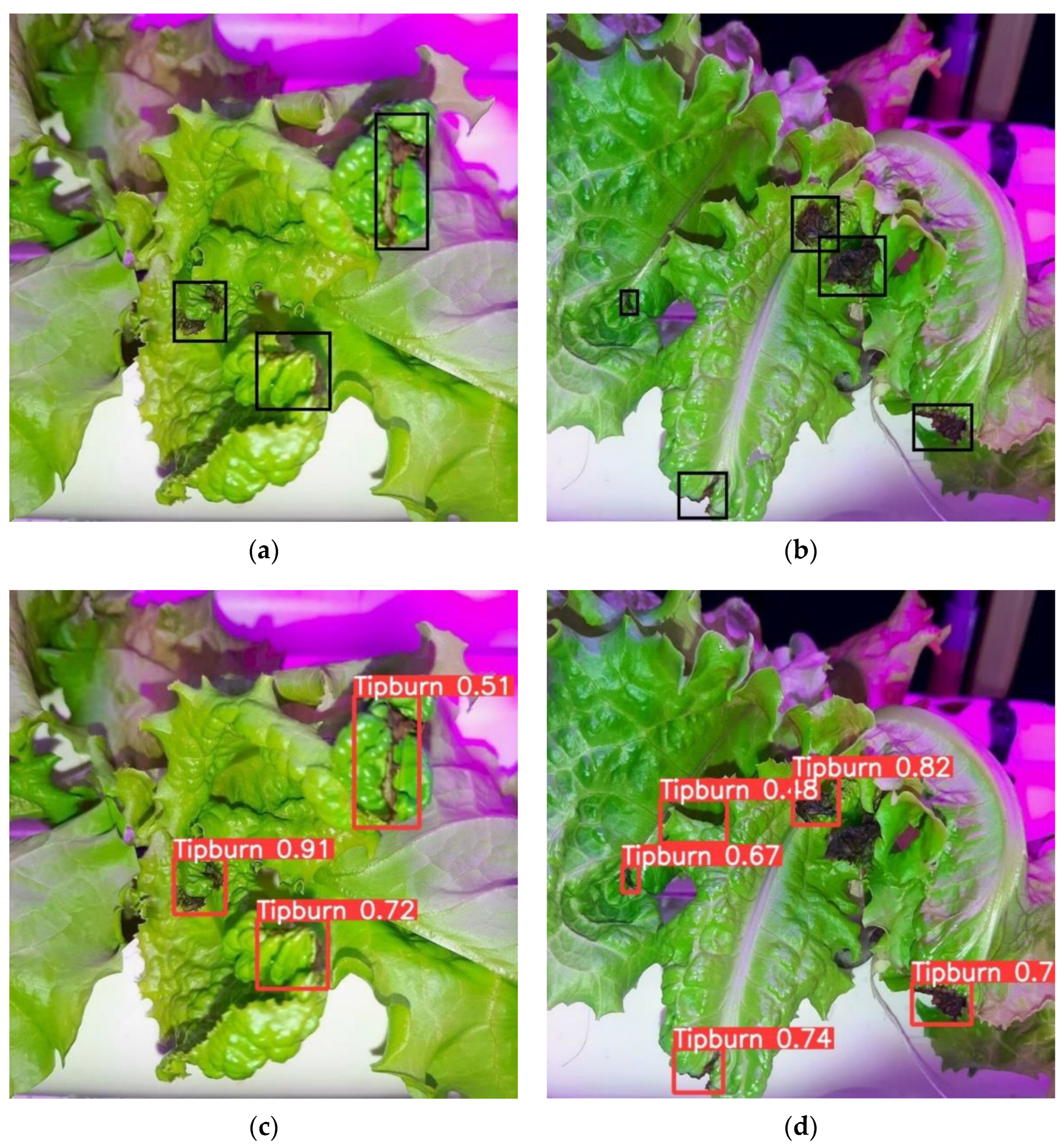 Sensors 22 07251 g008a