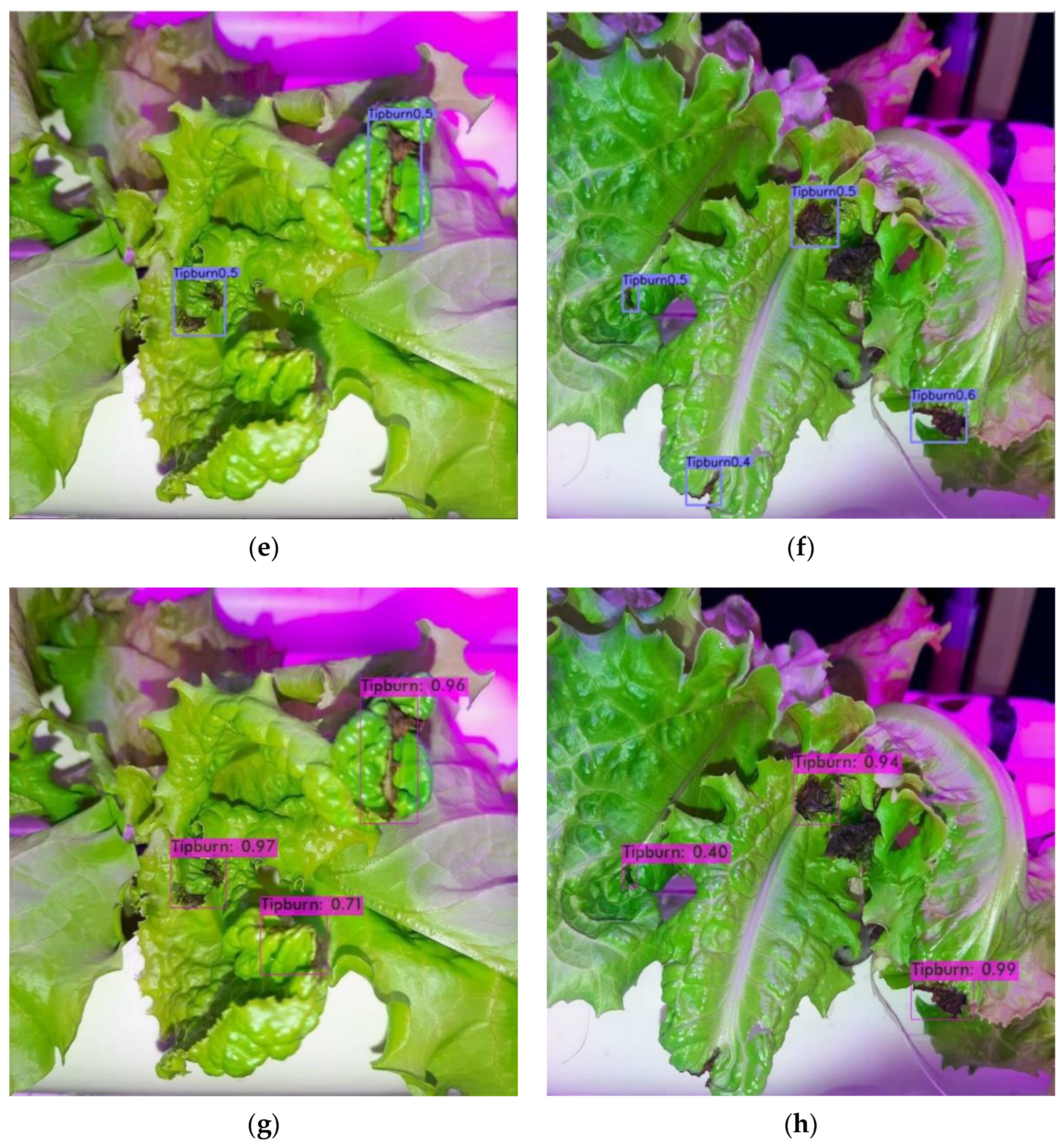 Sensors 22 07251 g008b