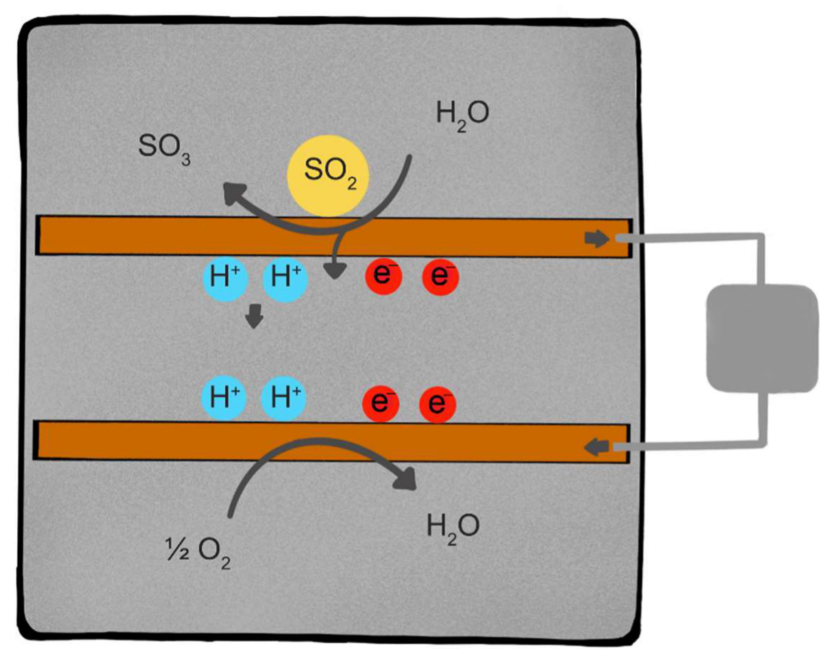 Sensors 22 07281 g001