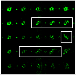Sensors 22 07365 i109 Sensors 22 07365 i109