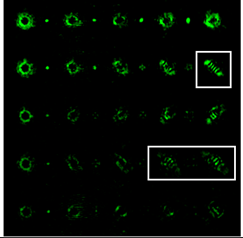 Sensors 22 07365 i110 Sensors 22 07365 i110