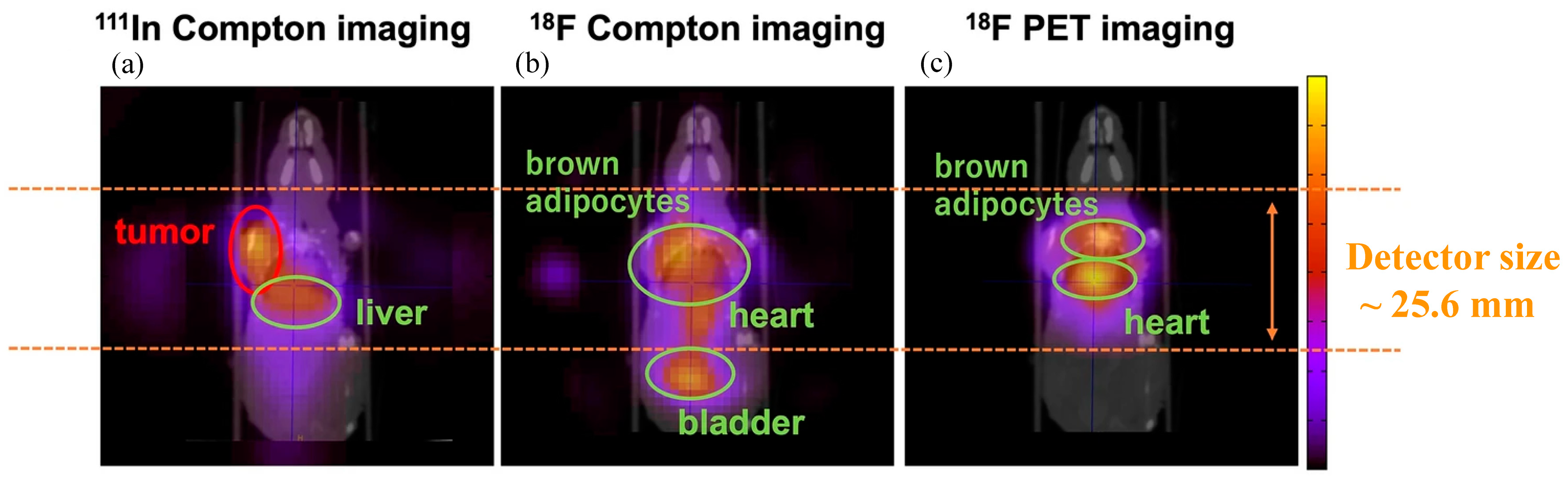 Sensors 22 07374 g009