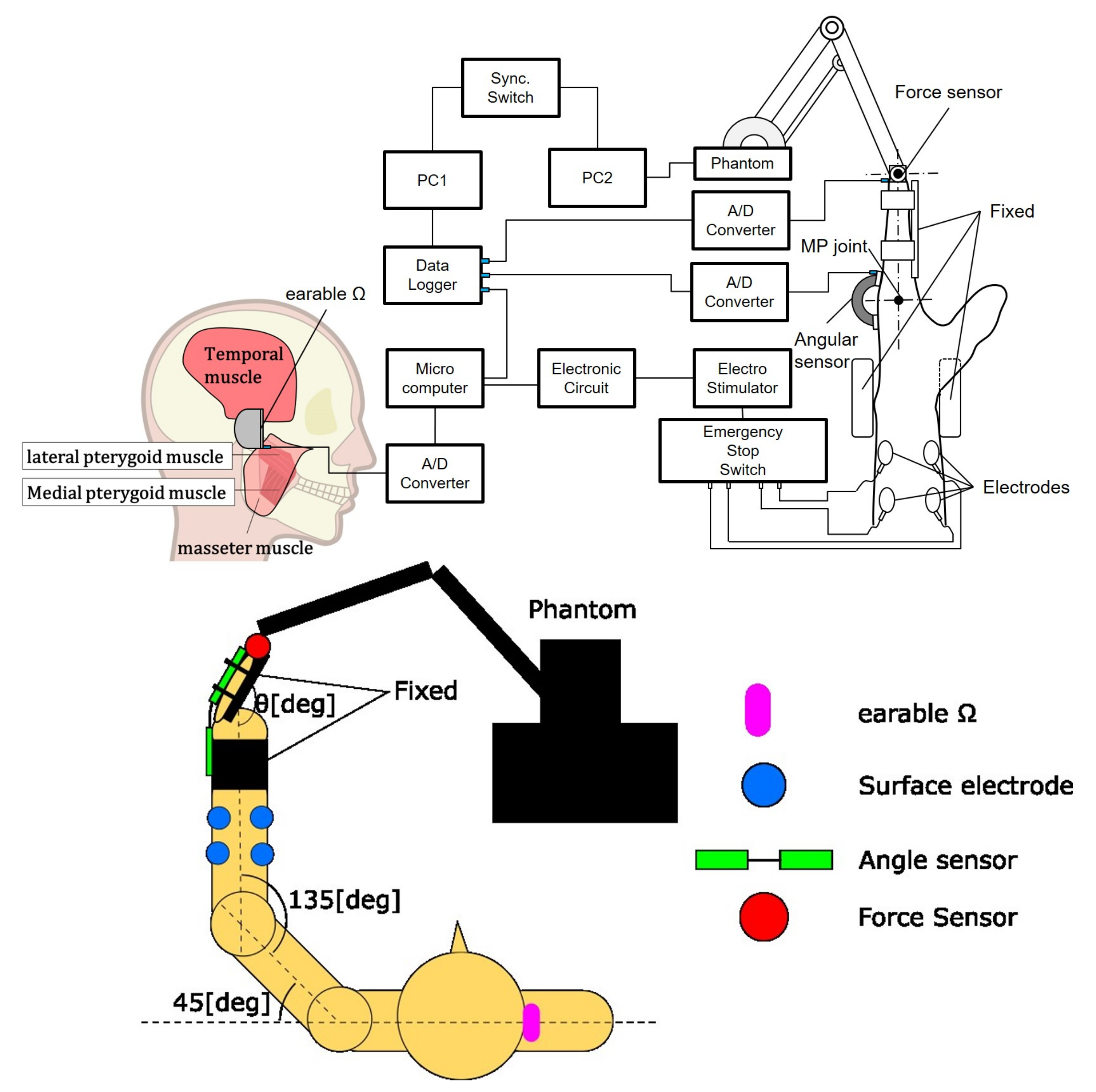 Sensors 22 07412 g005