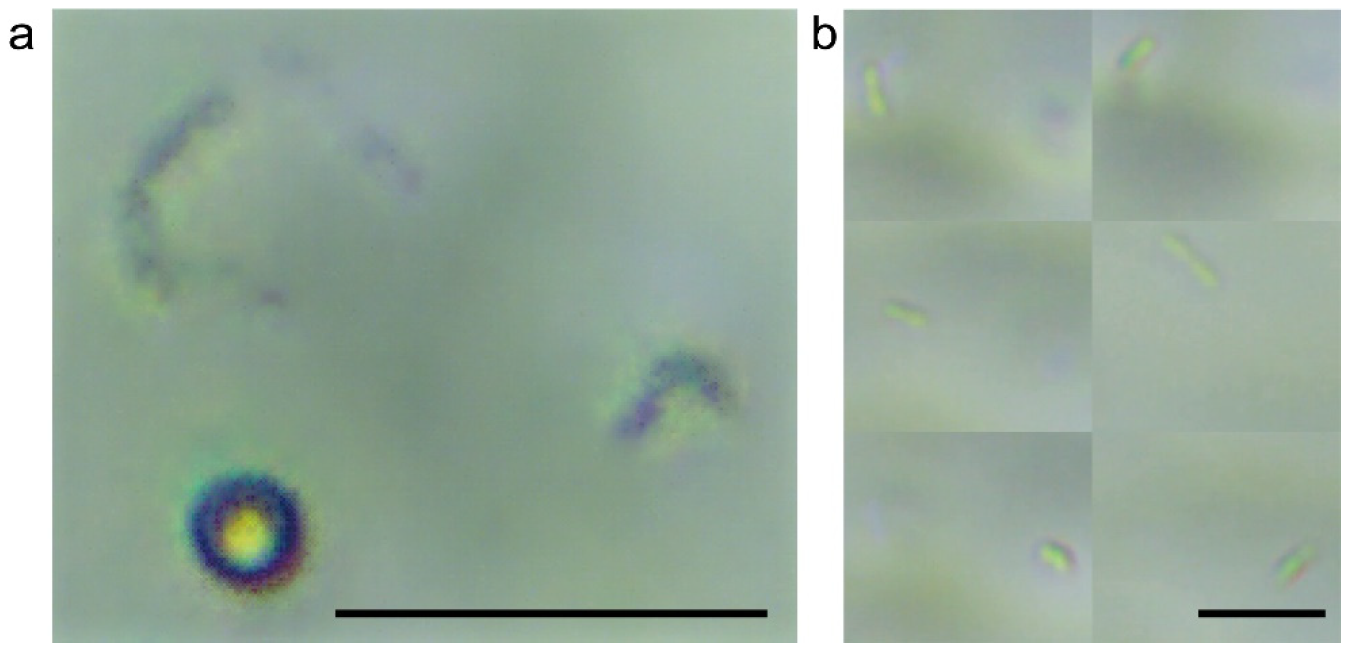 Sensors 22 07454 g003
