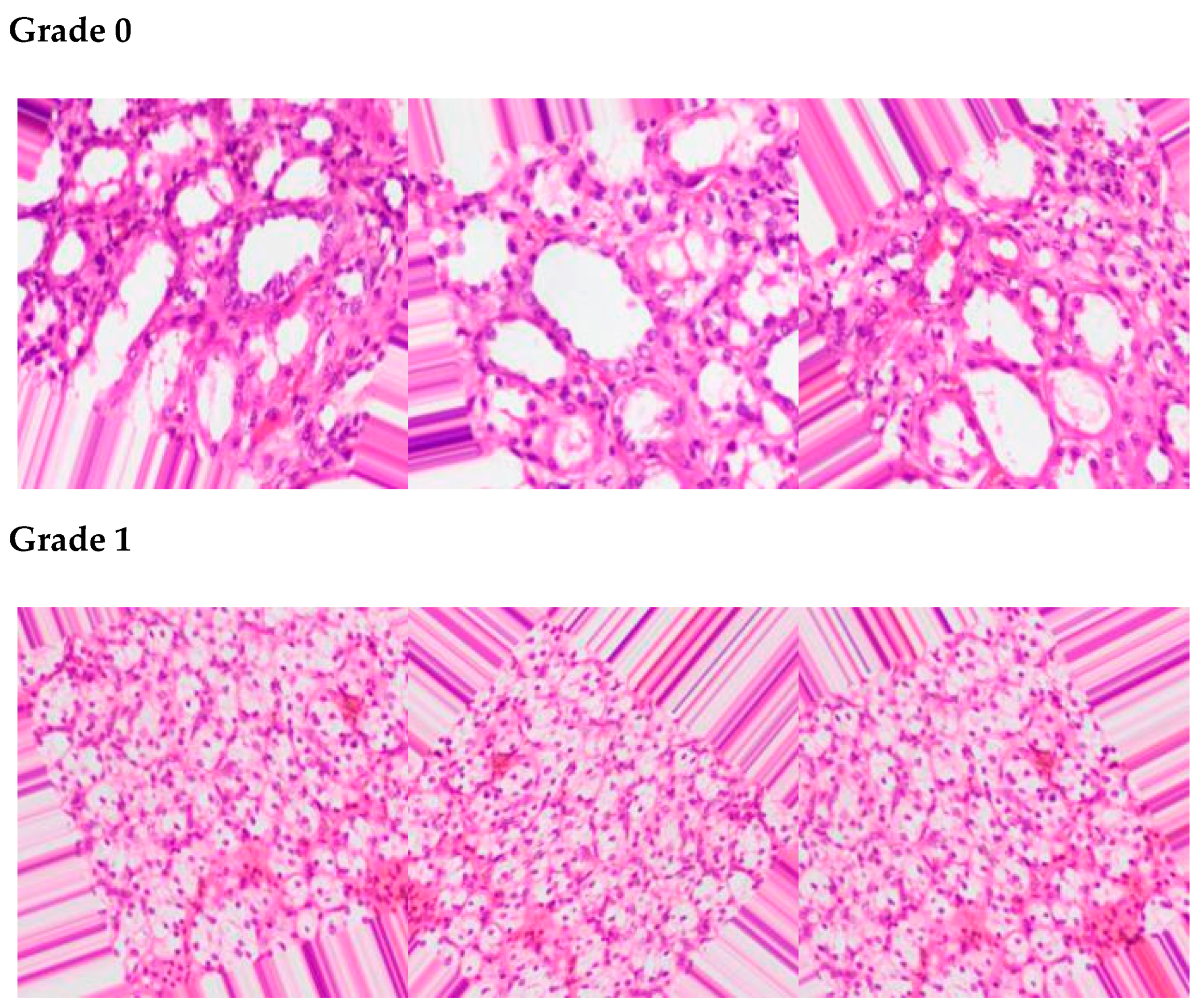 Sensors 22 07483 g003a