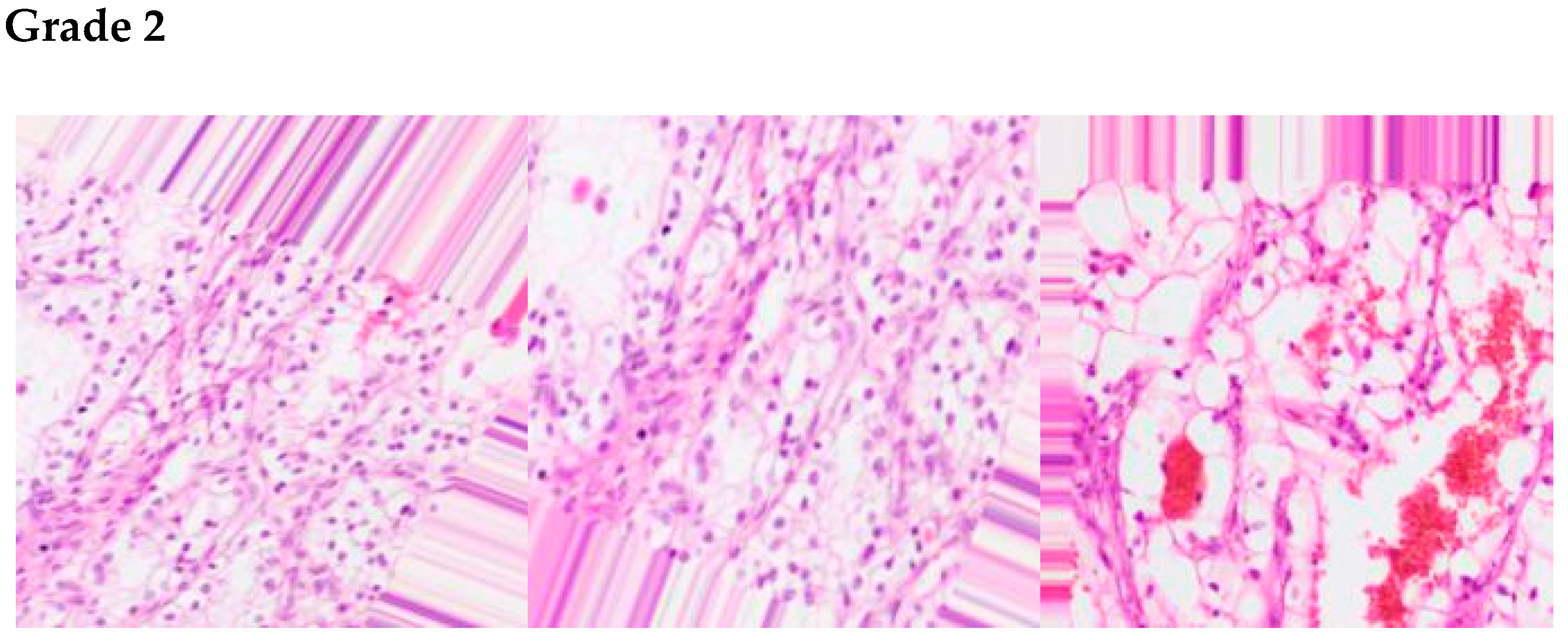 Sensors 22 07483 g003b