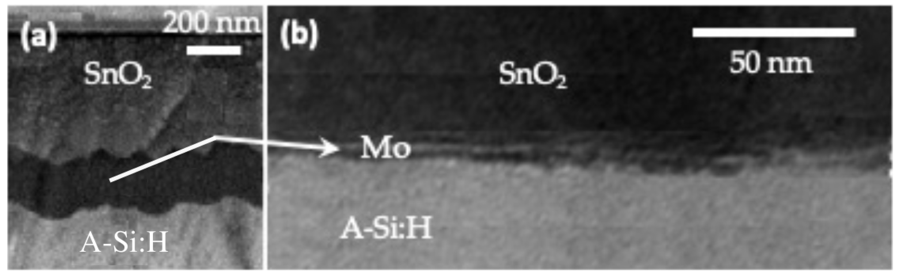 Sensors 22 07486 g002 Sensors 22 07486 g002