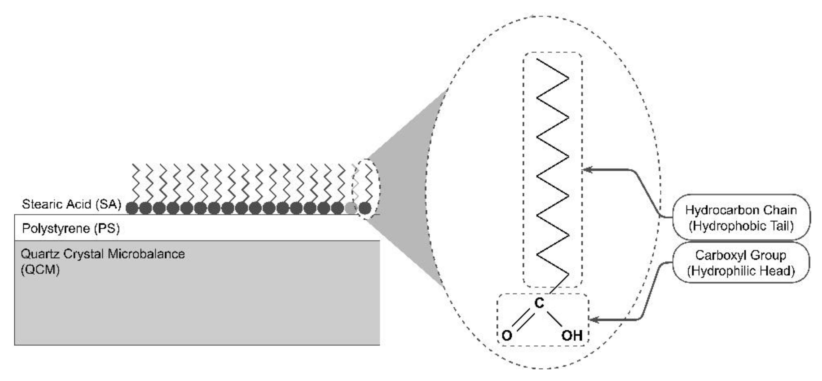 Sensors 22 07504 g005
