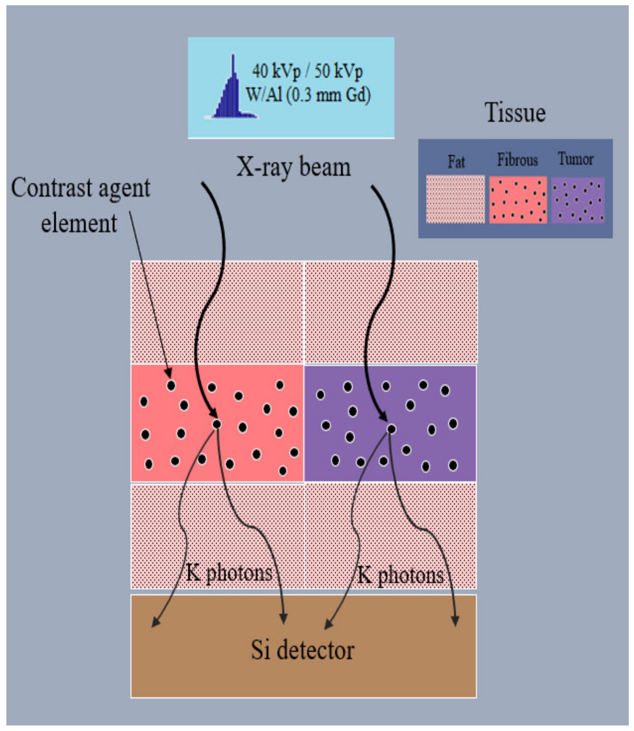 Sensors 22 07514 g003