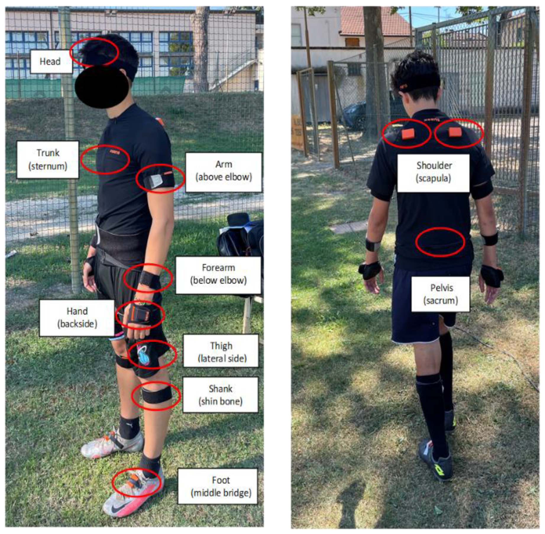 Sensors 22 07519 g003 Sensors 22 07519 g003